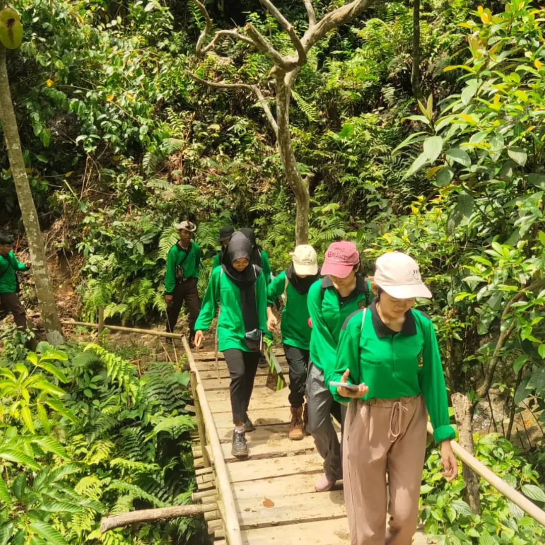Trekking ke Hutan Pinus bersama Hutan Hujan Sentul